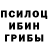 Псилоцибиновые грибы мухоморы Andrew Wilchynski